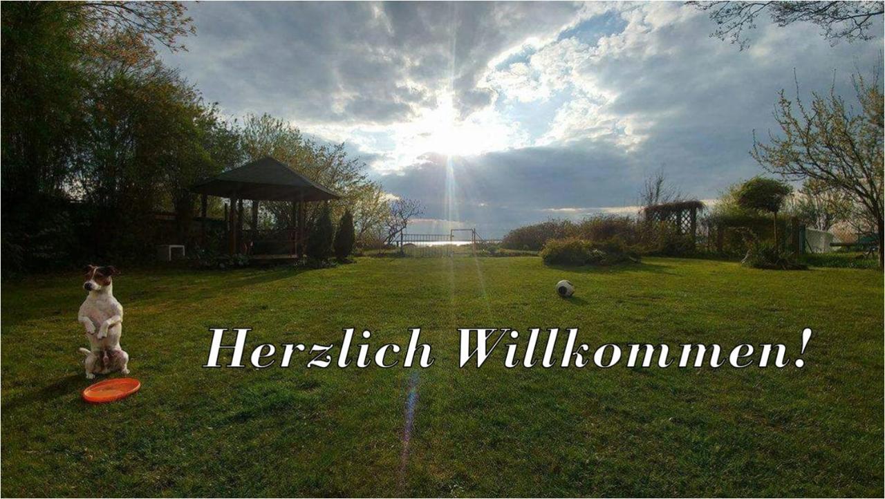 Villa Beata Nowe Warpno Eksteriør billede